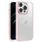 For iPhone 12 Pro Max Hardware Side Cooling Skin Feel Frosted Metal Lens Frame Phone Case(Pink) - 1