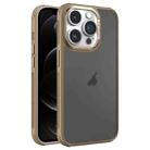 For iPhone 12 Pro Hardware Side Cooling Skin Feel Frosted Metal Lens Frame Phone Case(Gold) - 1