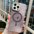 For iPhone 15 Pro Blink Series Metal Lens Frame MagSafe Magnetic IMD Phone Case(Black) - 1