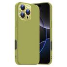 For iPhone 16 Pro Max Nano Lens Cover Liquid Silicone Phone Case(Fruit Green) - 1