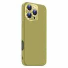 For iPhone 16 Pro Max Nano Lens Cover Liquid Silicone Phone Case(Fruit Green) - 2