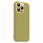 For iPhone 15 Pro Max Nano Lens Cover Liquid Silicone Phone Case(Fruit Green) - 2