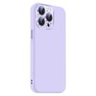 For iPhone 15 Pro Max Nano Lens Cover Liquid Silicone Phone Case(Light Purple) - 2