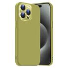 For iPhone 15 Pro Nano Lens Cover Liquid Silicone Phone Case(Fruit Green) - 1