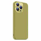 For iPhone 15 Pro Nano Lens Cover Liquid Silicone Phone Case(Fruit Green) - 2