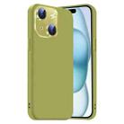 For iPhone 15 Plus Nano Lens Cover Liquid Silicone Phone Case(Fruit Green) - 1