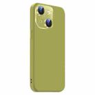 For iPhone 15 Plus Nano Lens Cover Liquid Silicone Phone Case(Fruit Green) - 2