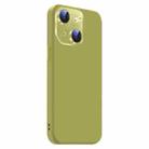 For iPhone 15 Nano Lens Cover Liquid Silicone Phone Case(Fruit Green) - 2