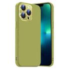 For iPhone 13 Pro Max Nano Lens Cover Liquid Silicone Phone Case(Fruit Green) - 1