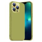 For iPhone 13 Pro Nano Lens Cover Liquid Silicone Phone Case(Fruit Green) - 1