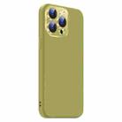 For iPhone 13 Pro Nano Lens Cover Liquid Silicone Phone Case(Fruit Green) - 2