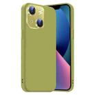 For iPhone 13 Nano Lens Cover Liquid Silicone Phone Case(Fruit Green) - 1