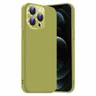 For iPhone 12 Pro Nano Lens Cover Liquid Silicone Phone Case(Fruit Green) - 1