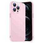 For iPhone 12 Pro Max Nano Lens Cover Liquid Silicone Phone Case(Pink) - 1