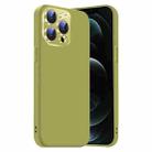 For iPhone 12 Pro Max Nano Lens Cover Liquid Silicone Phone Case(Fruit Green) - 1