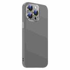 For iPhone 12 Pro Max Nano Lens Cover Liquid Silicone Phone Case(Titanium Gray) - 2