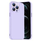 For iPhone 12 Pro Max Nano Lens Cover Liquid Silicone Phone Case(Light Purple) - 1