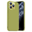 For iPhone 11 Pro Max Nano Lens Cover Liquid Silicone Phone Case(Fruit Green) - 1