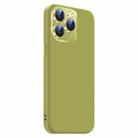 For iPhone 11 Pro Max Nano Lens Cover Liquid Silicone Phone Case(Fruit Green) - 2