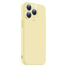 For iPhone 11 Pro Max Nano Lens Cover Liquid Silicone Phone Case(Yellow) - 2