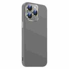 For iPhone 11 Pro Max Nano Lens Cover Liquid Silicone Phone Case(Titanium Gray) - 2