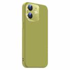 For iPhone 11 Nano Lens Cover Liquid Silicone Phone Case(Fruit Green) - 2