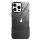 For iPhone 11 Pro Max Slim Color Contrast MagSafe PC Transparent Phone Case(Black) - 1