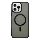 For iPhone 16 Pro Max Frosted Skin Feel MagSafe Phone Case(Black) - 1