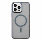 For iPhone 16 Pro Max Frosted Skin Feel MagSafe Phone Case(Titanium Gray) - 1