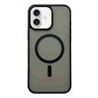 For iPhone 16 Frosted Skin Feel MagSafe Phone Case(Black) - 1