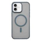 For iPhone 16 Frosted Skin Feel MagSafe Phone Case(Titanium Gray) - 1