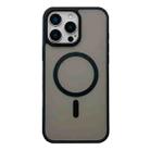 For iPhone 15 Pro Max Frosted Skin Feel MagSafe Phone Case(Black) - 1