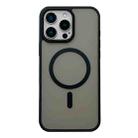 For iPhone 13 Pro Frosted Skin Feel MagSafe Phone Case(Black) - 1