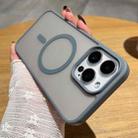 For iPhone 12 Pro Max Frosted Skin Feel MagSafe Phone Case(Titanium Gray) - 2