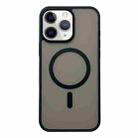 For iPhone 11 Pro Max Frosted Skin Feel MagSafe Phone Case(Black) - 1