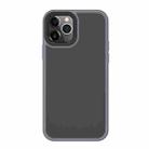 For iPhone 12 / 12 Pro Benks Skin Hand Feeling Series Anti-fall Frosted PC+ TPU Case(Grey) - 1