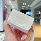 For AirPods Pro 2 Crocodile Texture Earphones Protective Case(White) - 2