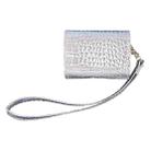 For AirPods Pro 2 Crocodile Texture Earphones Protective Case(Silver) - 1