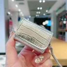 For AirPods Pro 2 Crocodile Texture Earphones Protective Case(Silver) - 2
