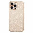 For iPhone 16 Pro Max Electroplating Star Diamond CD Texture Lens Ring Phone Case(Gold) - 1