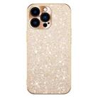 For iPhone 14 Pro Electroplating Star Diamond CD Texture Lens Ring Phone Case(Gold) - 1