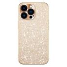 For iPhone 14 Pro Max Electroplating Star Diamond CD Texture Lens Ring Phone Case(Gold) - 1