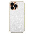 For iPhone 13 Pro Max Electroplating Star Diamond CD Texture Lens Ring Phone Case(Silver) - 1