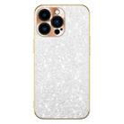 For iPhone 13 Pro Electroplating Star Diamond CD Texture Lens Ring Phone Case(Silver) - 1