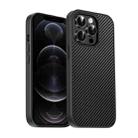 For iPhone 12 Pro Max Pita Series TPU + PC Texture Phone Case(Black) - 1