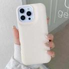 For iPhone 12 Pro Max Leather Texture Phone Case(White) - 1