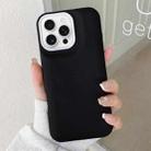 For iPhone 16 Pro Max Leather Texture Phone Case(Black) - 1