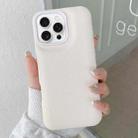 For iPhone 16 Pro Max Leather Texture Phone Case(White) - 1