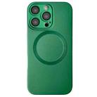 For iPhone 16 Pro Max Metallic Paint CD Texture MagSafe TPU Phone Case(Green) - 1