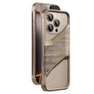 For iPhone 16 Pro Max Aluminum Alloy Solid Wood Frameless Hollow Metal Phone Case(Gold) - 1